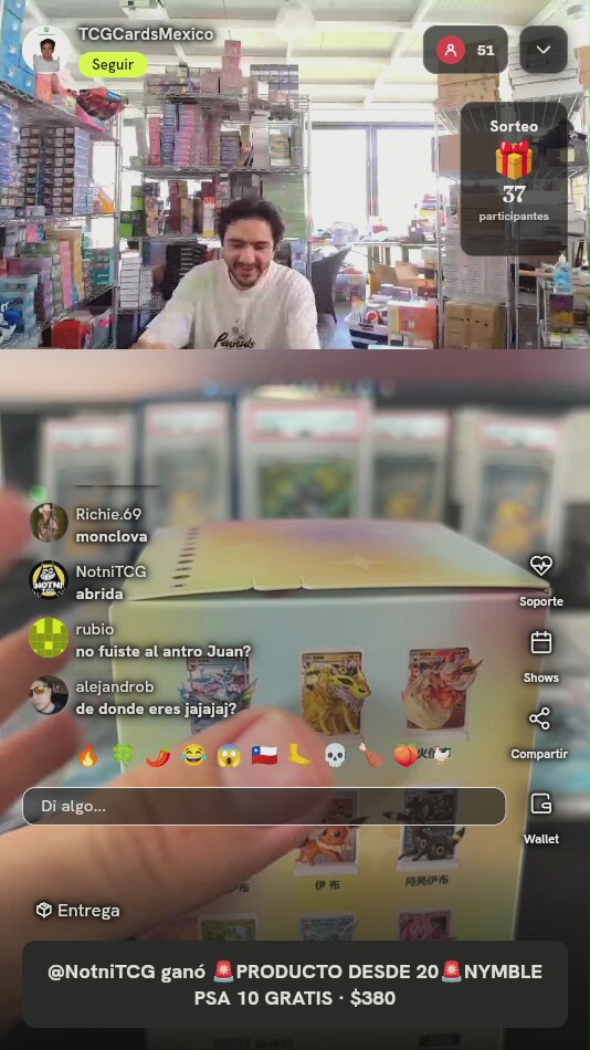 Caja Sorpresa Portacartas Eeveelutions Pokémon