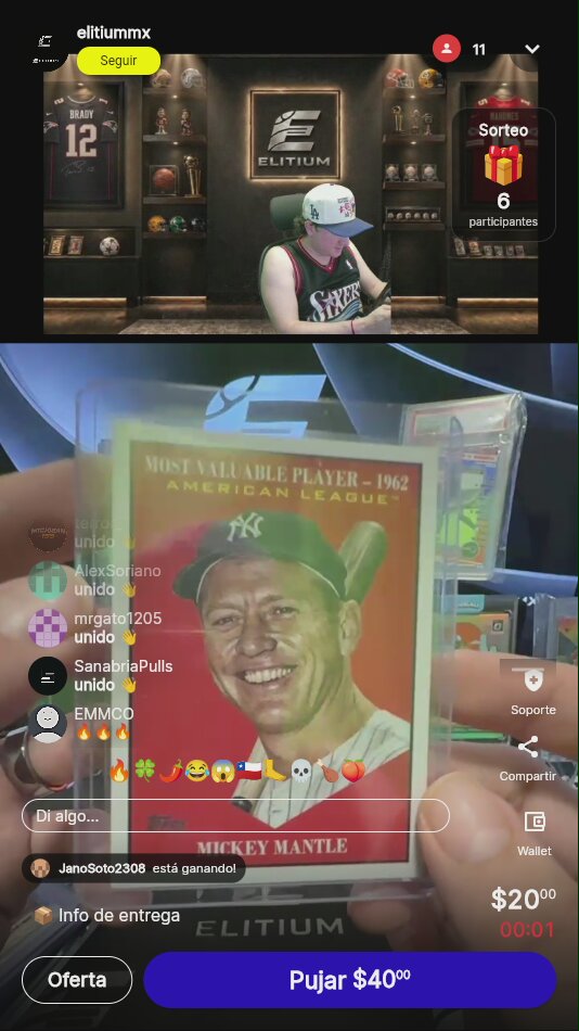 Artículo