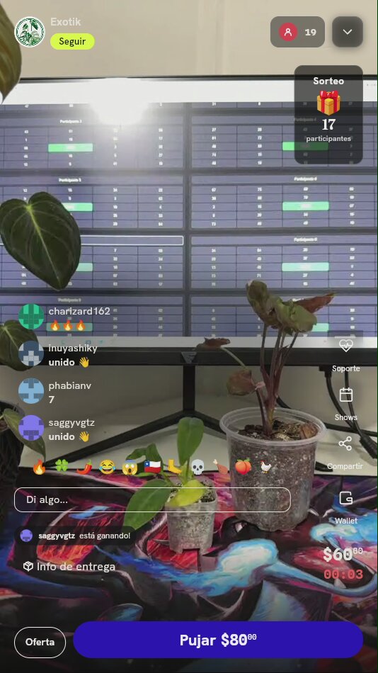 Planta Exótica de Colección