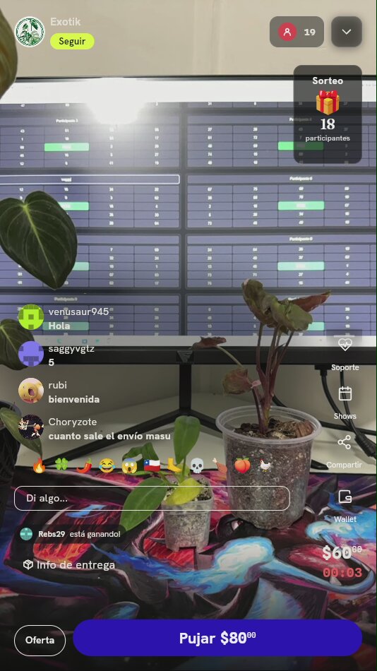 Planta Exótica de Colección