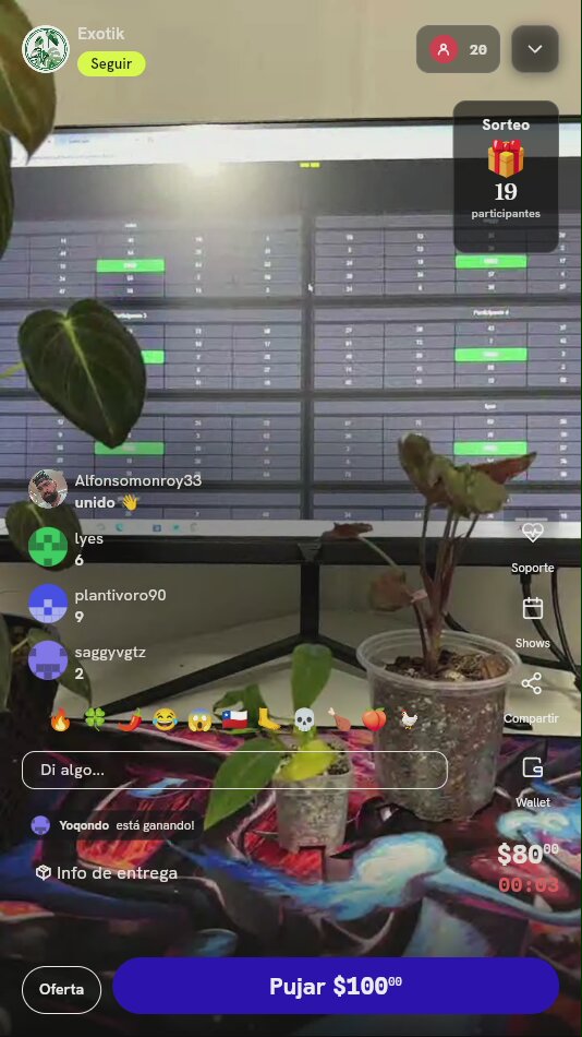 Planta Tropical de Colección