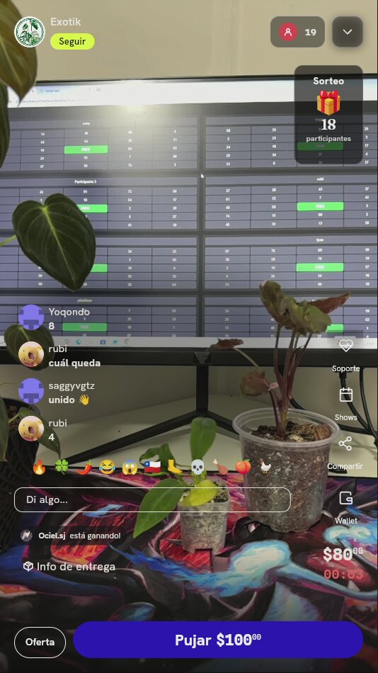 Planta Tropical Exótica de Colección