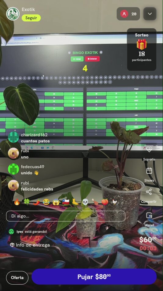 Planta exótica en maceta
