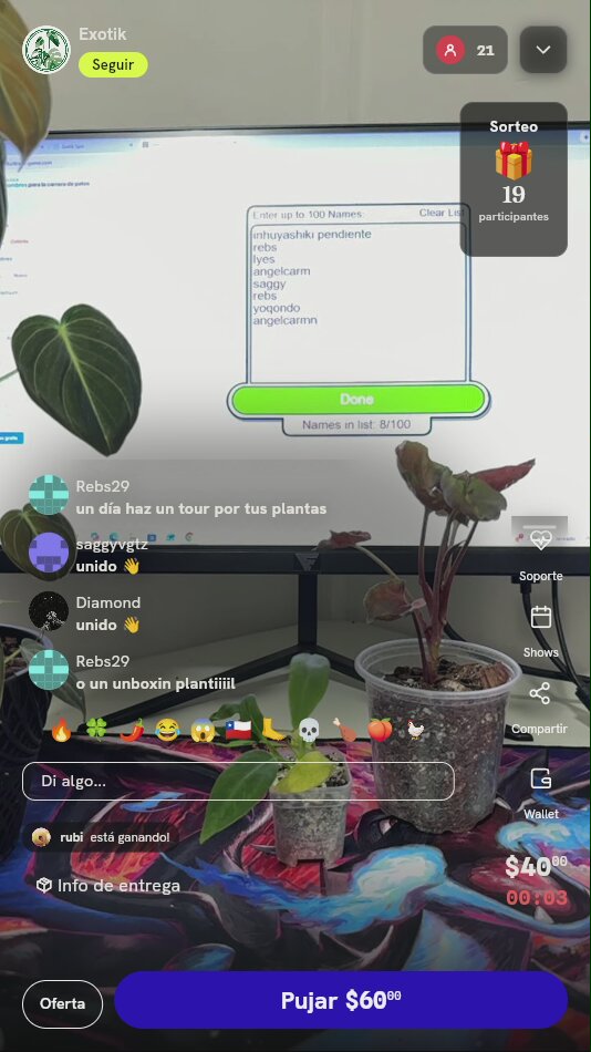 Planta Exótica de Colección