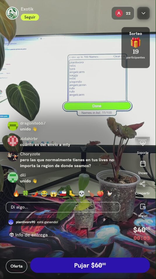 Planta exótica tropical en maceta