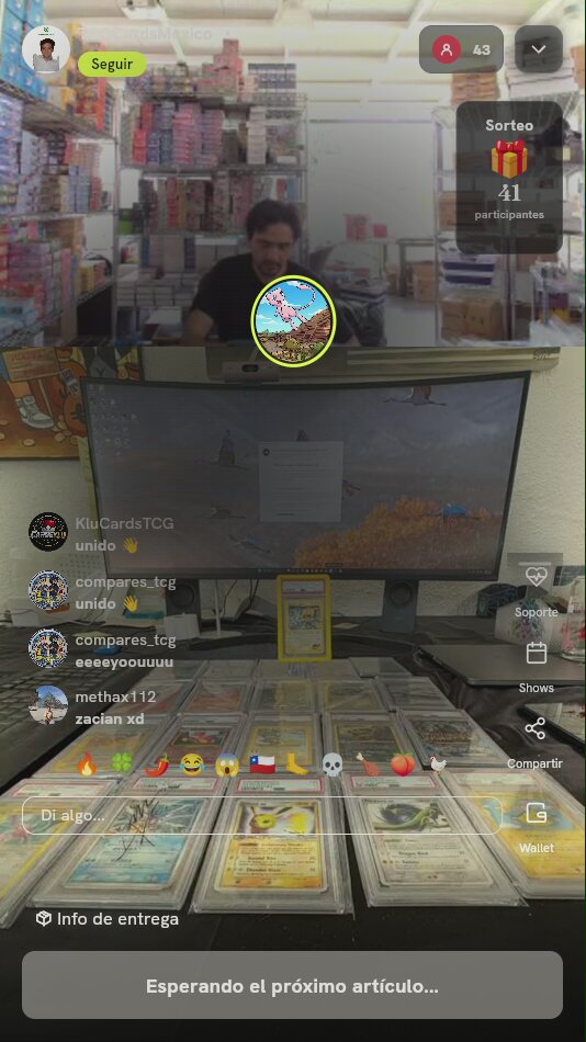 Caja Zacian V-UNION Pokémon TCG
