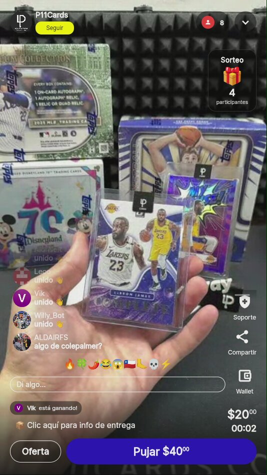 LeBron James My House Optic