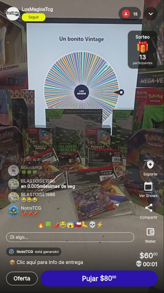 Lotes Pokémon TCG Variados