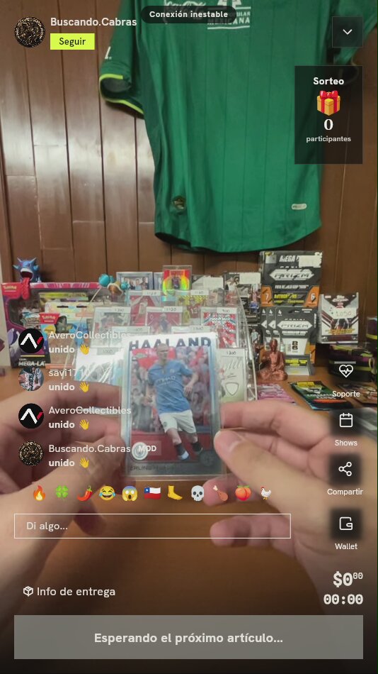 Artículo