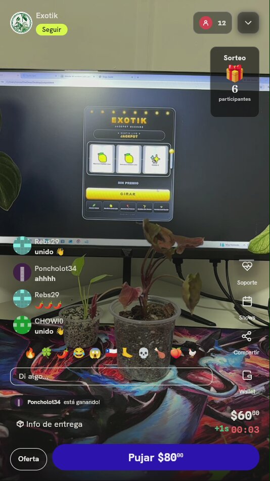 Planta exótica Syngonium Orm Nak