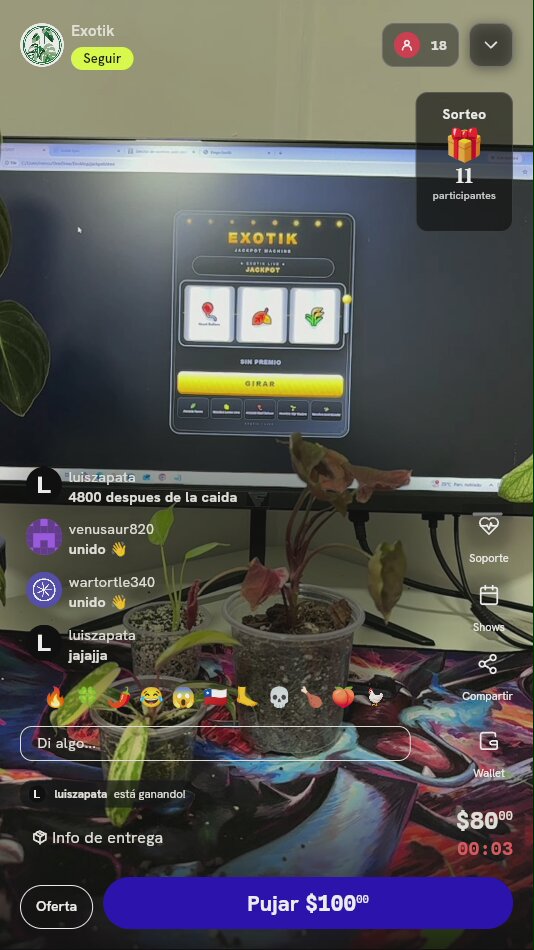 Planta exótica Syngonium rosada