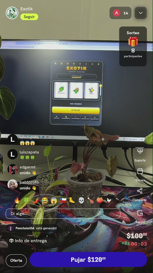 Planta exótica aclimatada