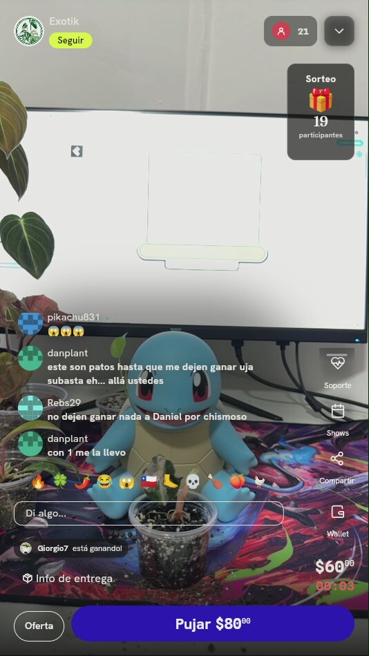 Planta exótica de colección