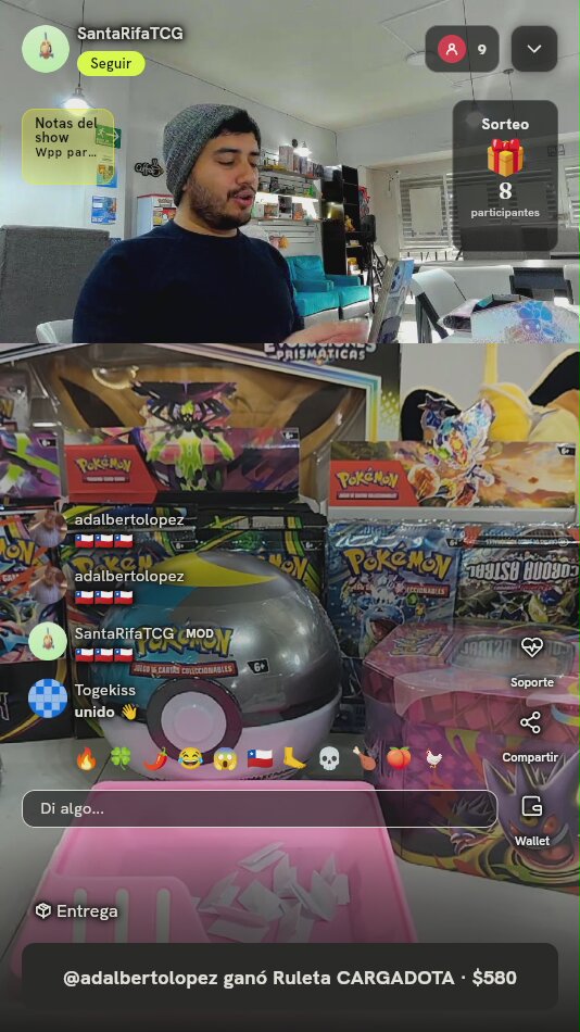Lote Pokémon TCG Variado