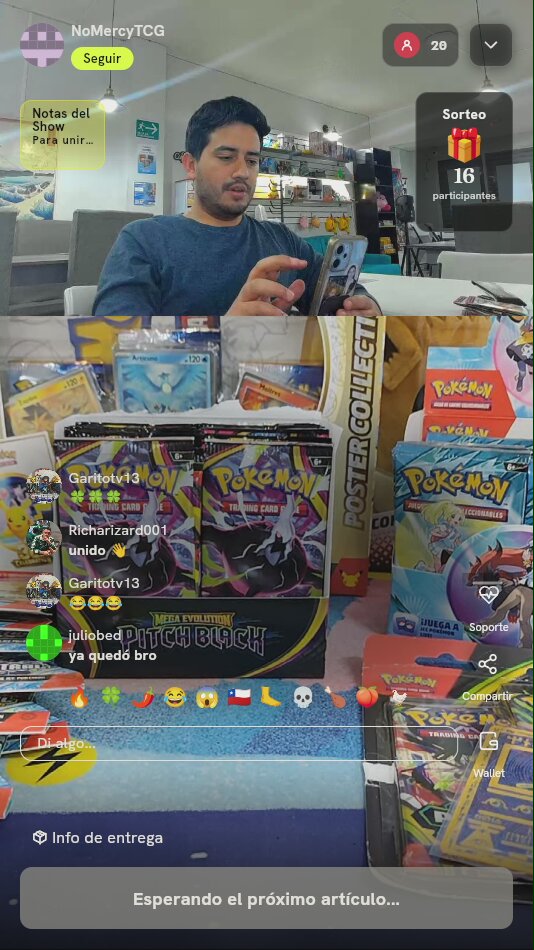 Colección de Póster Celebración Pokémon