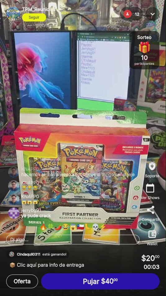 Pokémon First Partner Illustration Collection
