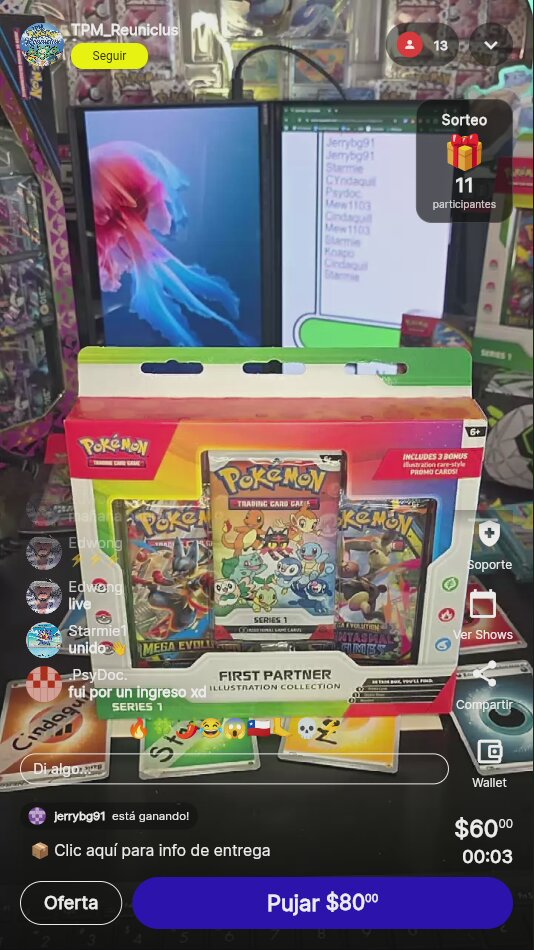 Pokémon First Partner Illustration Collection