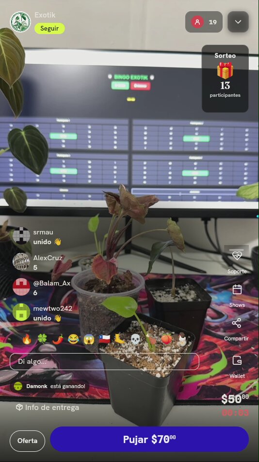 Plantas ornamentales de interior