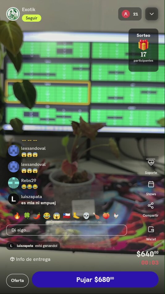Planta Exótica Variegada de Colección