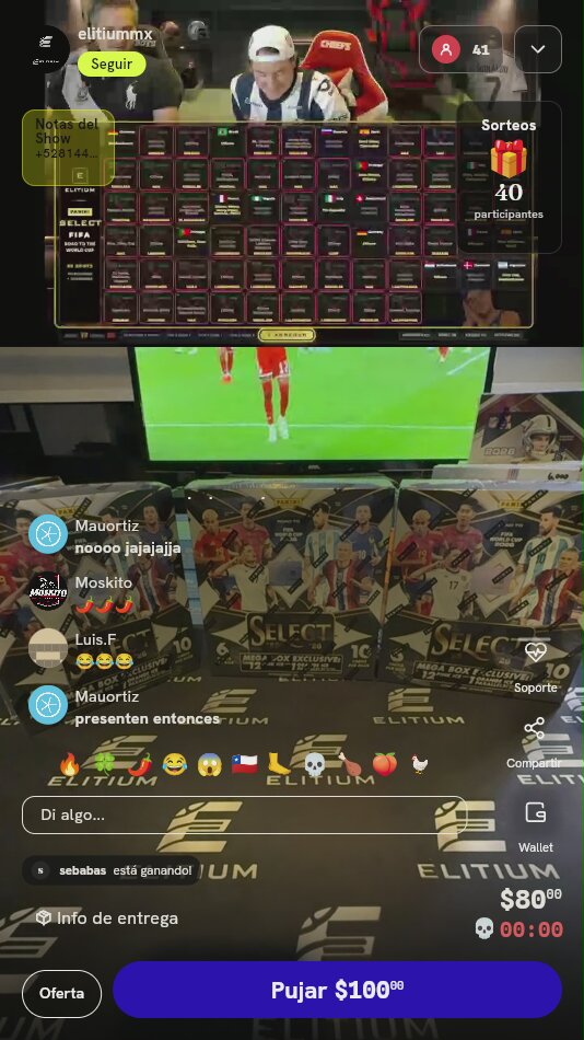 Cajas Panini Select FIFA World Cup