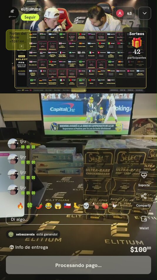 Panini Select FIFA World Cup