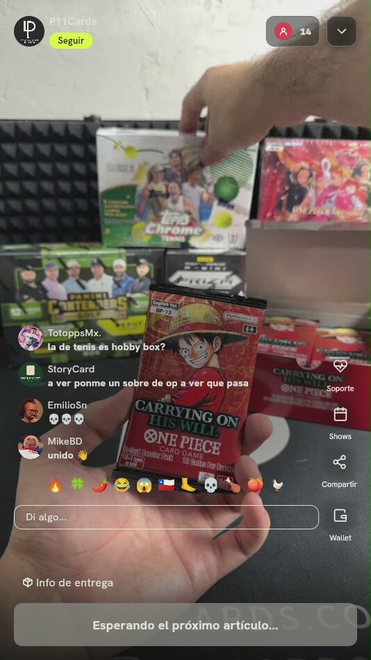 Sobre One Piece OP-13 Carrying On His Will