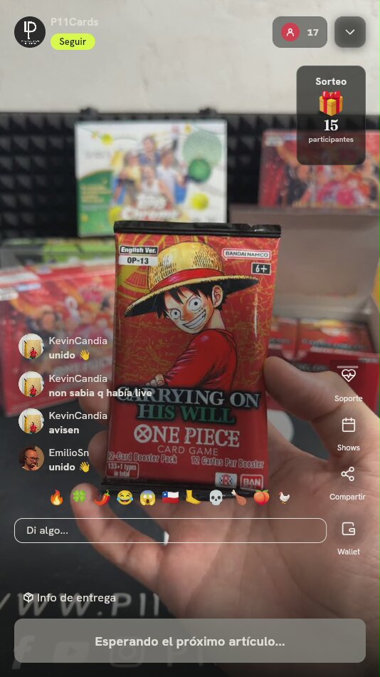 Sobre One Piece Carrying On His Will OP-13