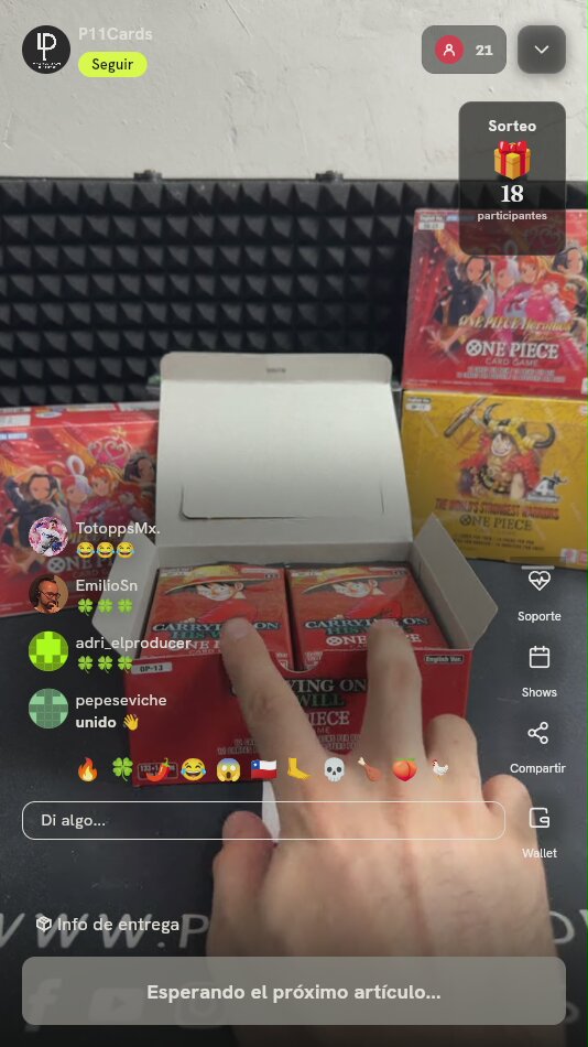Caja Booster One Piece Carrying On His Will OP-13