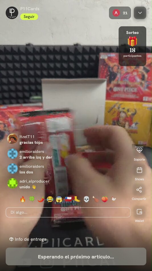Booster Box One Piece Carrying On His Will OP-13
