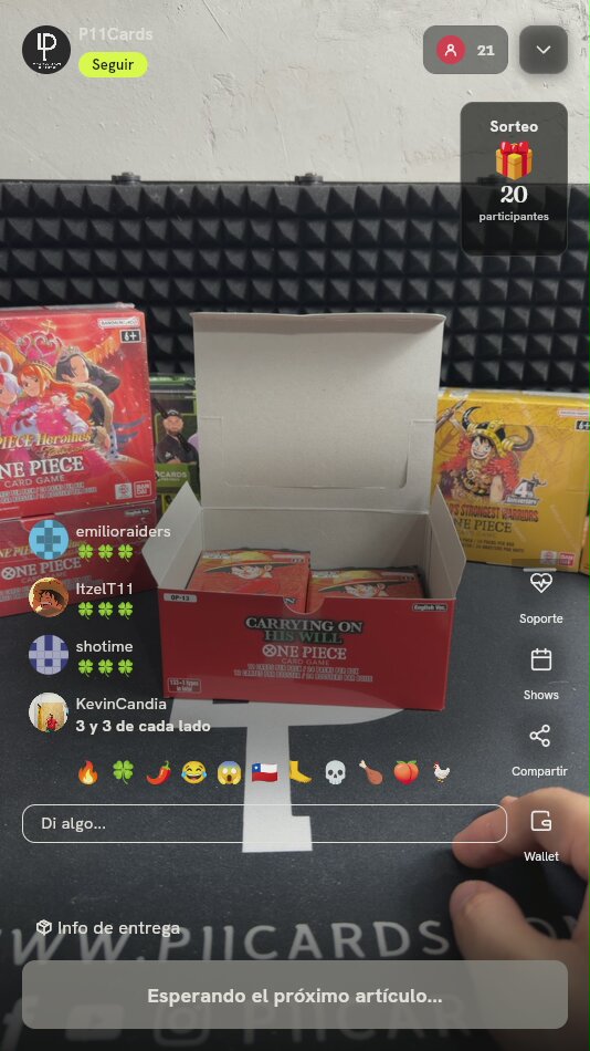 Caja de Sobre One Piece OP-13