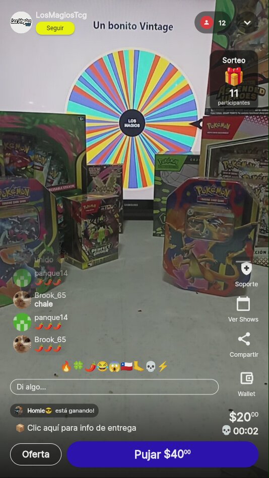 Lote Vintage Pokémon TCG
