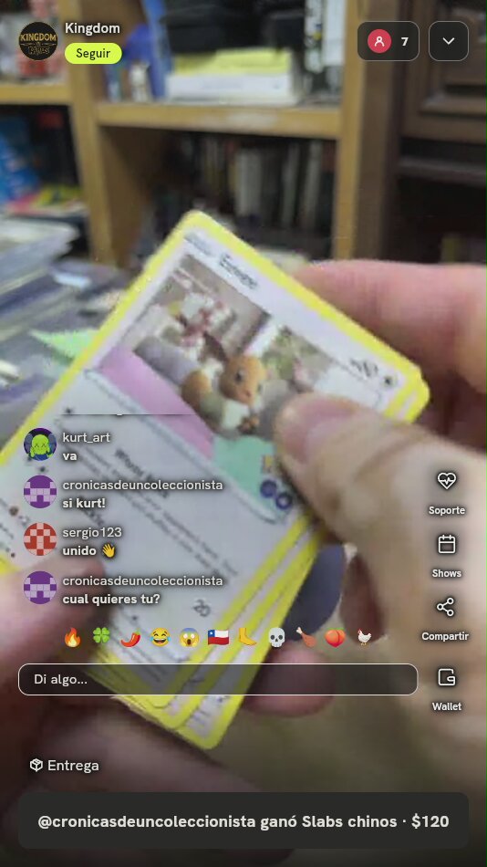 Carta Pokémon Eevee Pokémon GO