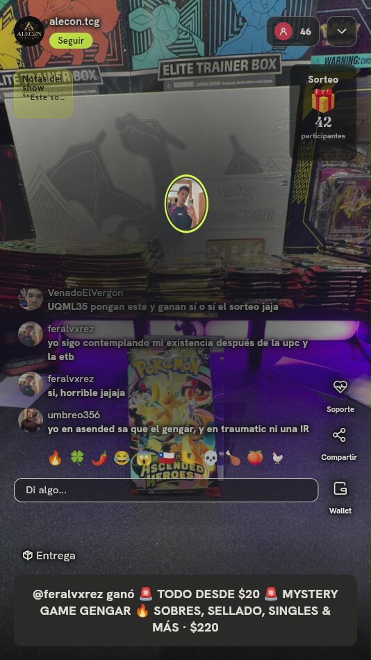 Sobre Pokémon Ascended Heroes