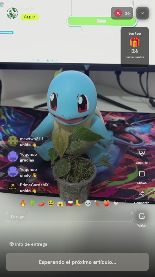 Esqueje de planta tropical exótica
