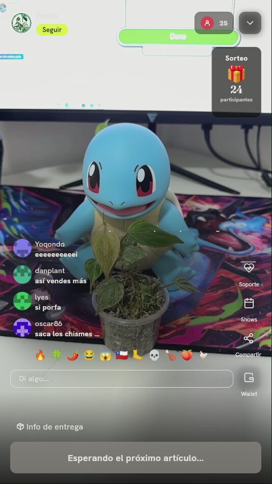 Planta de Colección Alocasia Venom