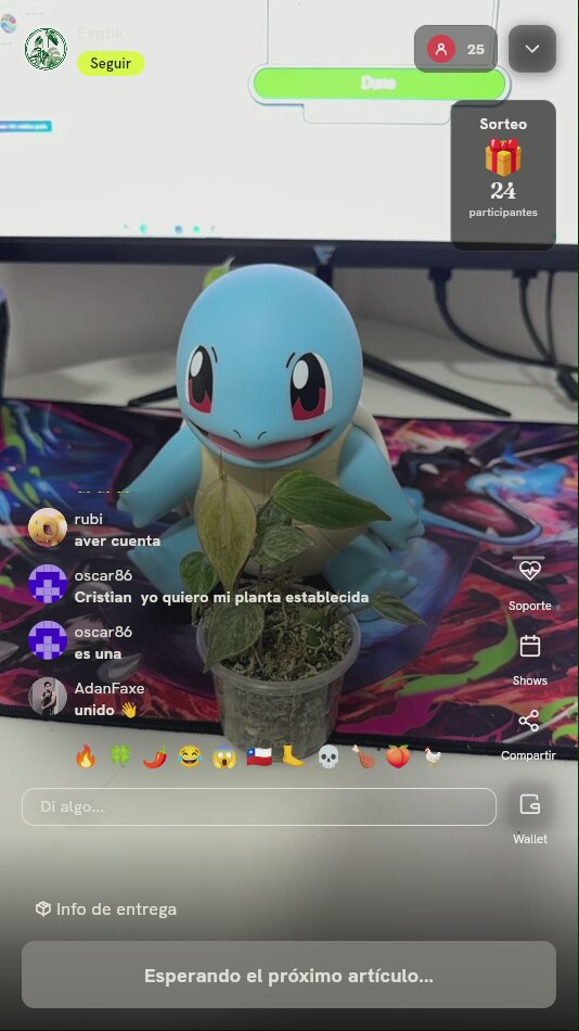 Planta exótica de colección