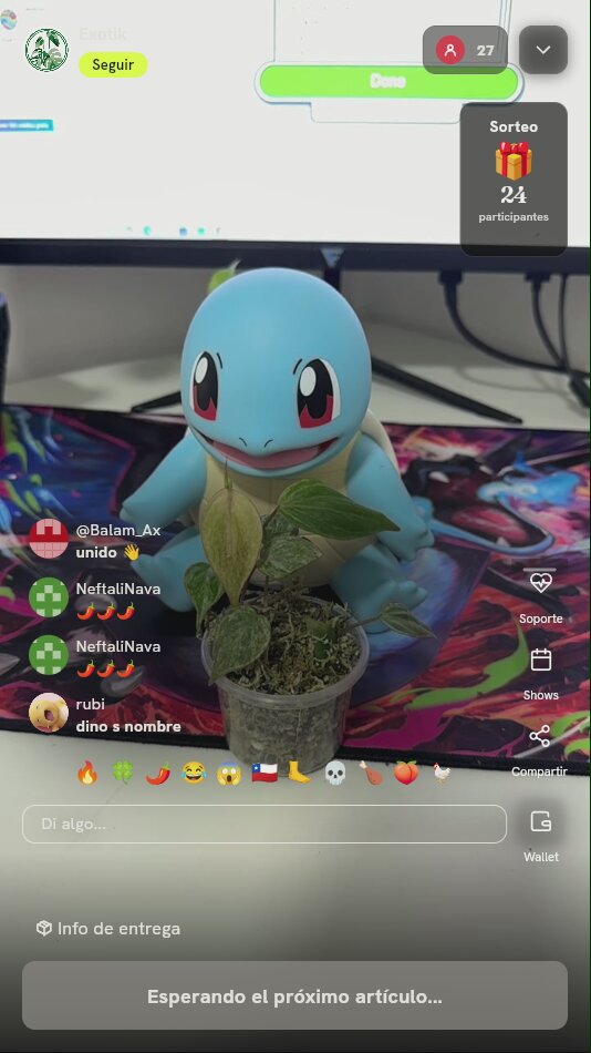 Planta exótica tropical en maceta