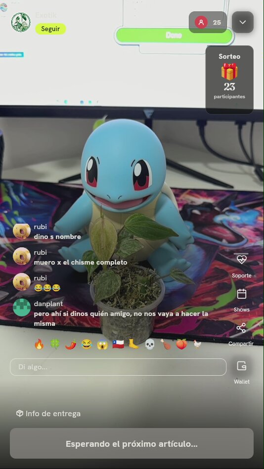 Planta exótica de colección