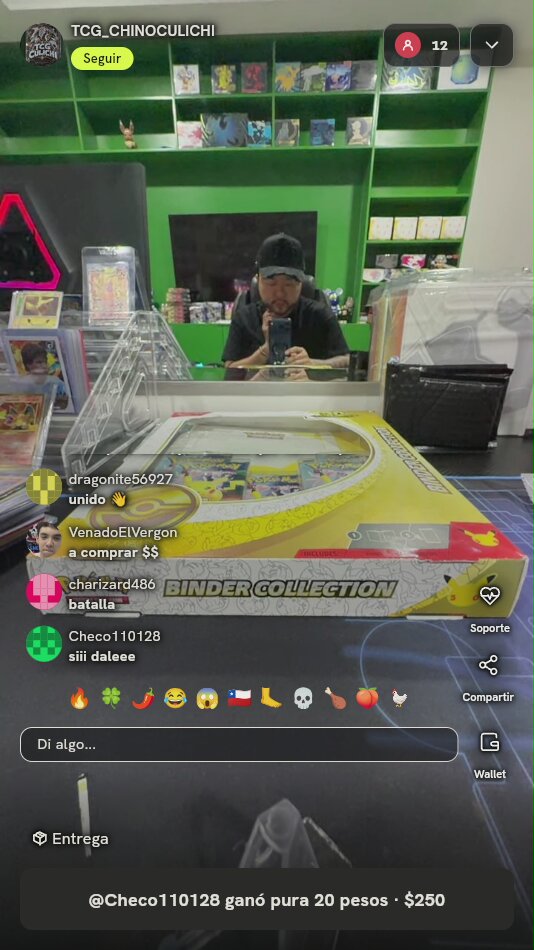 Pokémon Celebrations Binder Collection Box