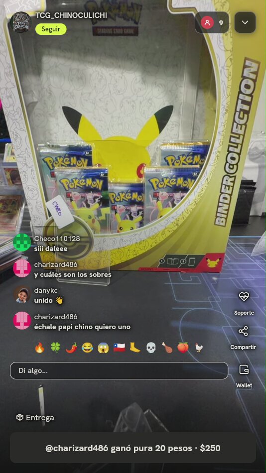 Pokémon Binder Collection
