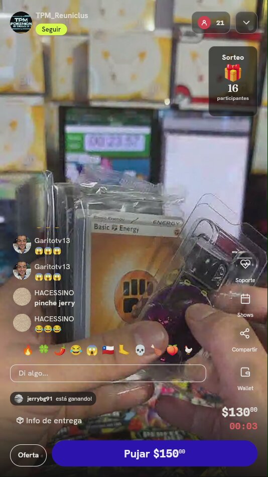 Lote de Accesorios Pokémon TCG