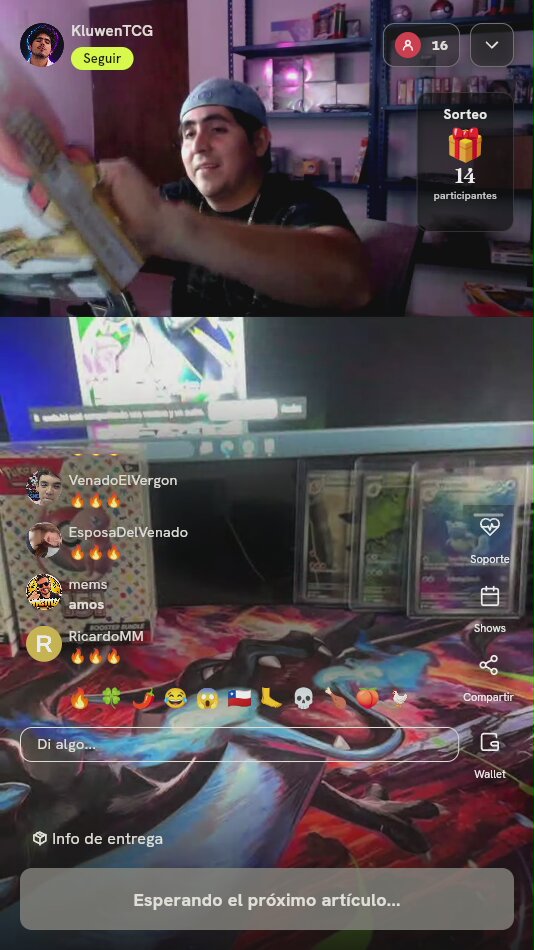 Caja Pokémon Mega Emboar ex