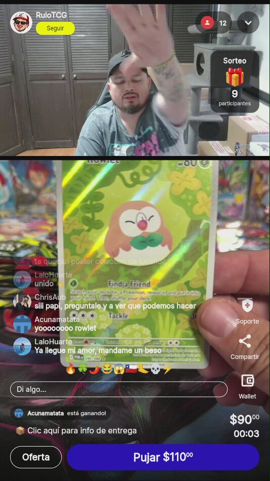 Rowlet Find a Friend Pokémon