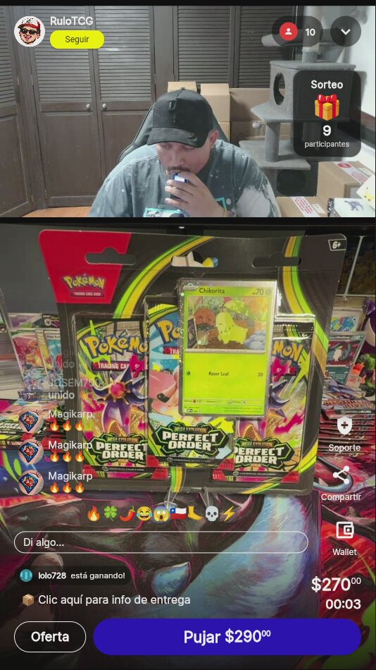 Pokémon Perfect Order Chikorita Blister