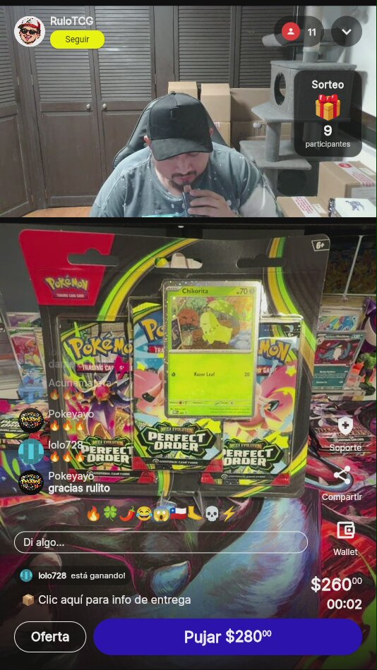 Pokémon Perfect Order Blister