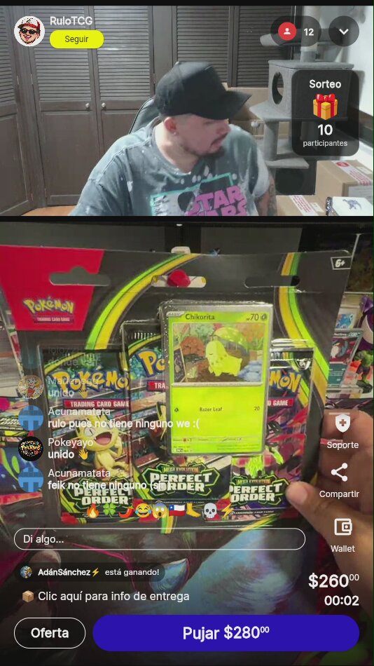 Pokémon Perfect Order Chikorita Blister