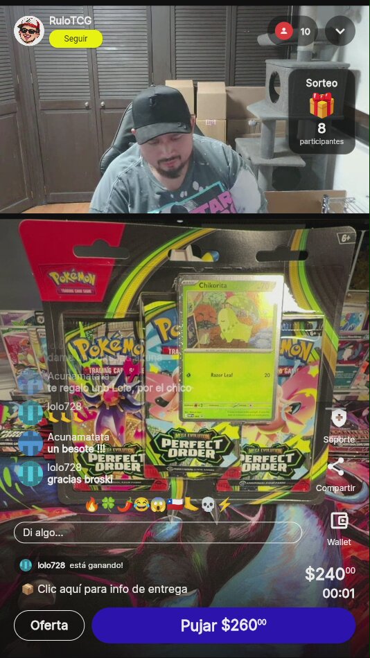 Pokémon Perfect Order Chikorita Blister