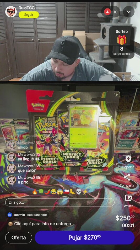 Pokémon Perfect Order Chikorita Blister