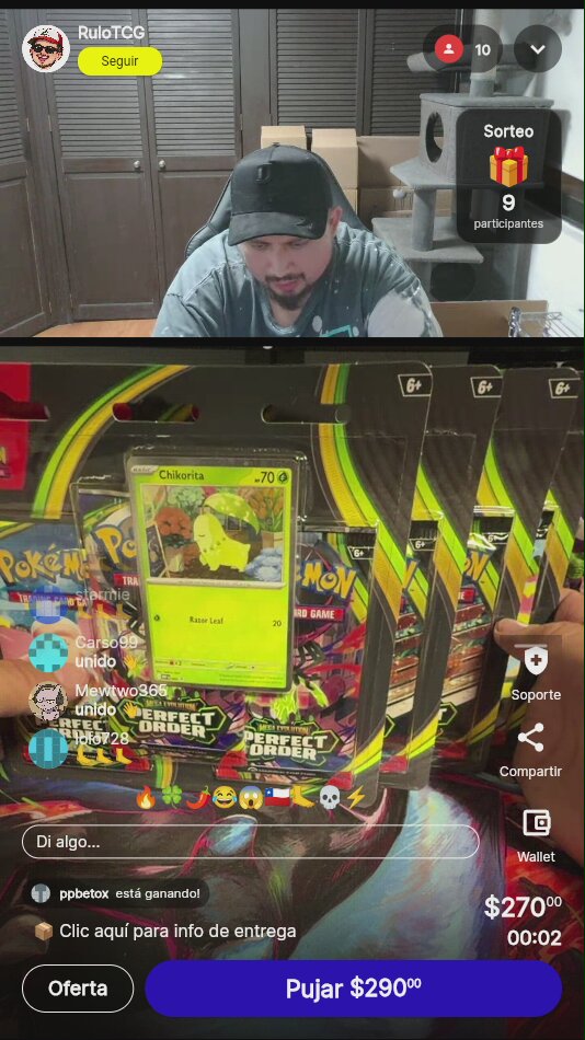 Pokémon Perfect Order Blister Chikorita