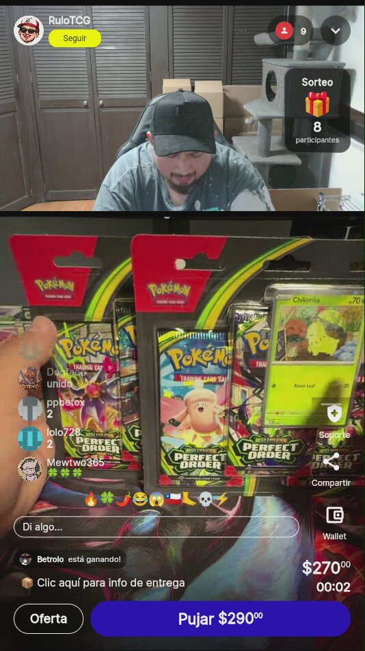 Pokémon Perfect Order Blister Chikorita